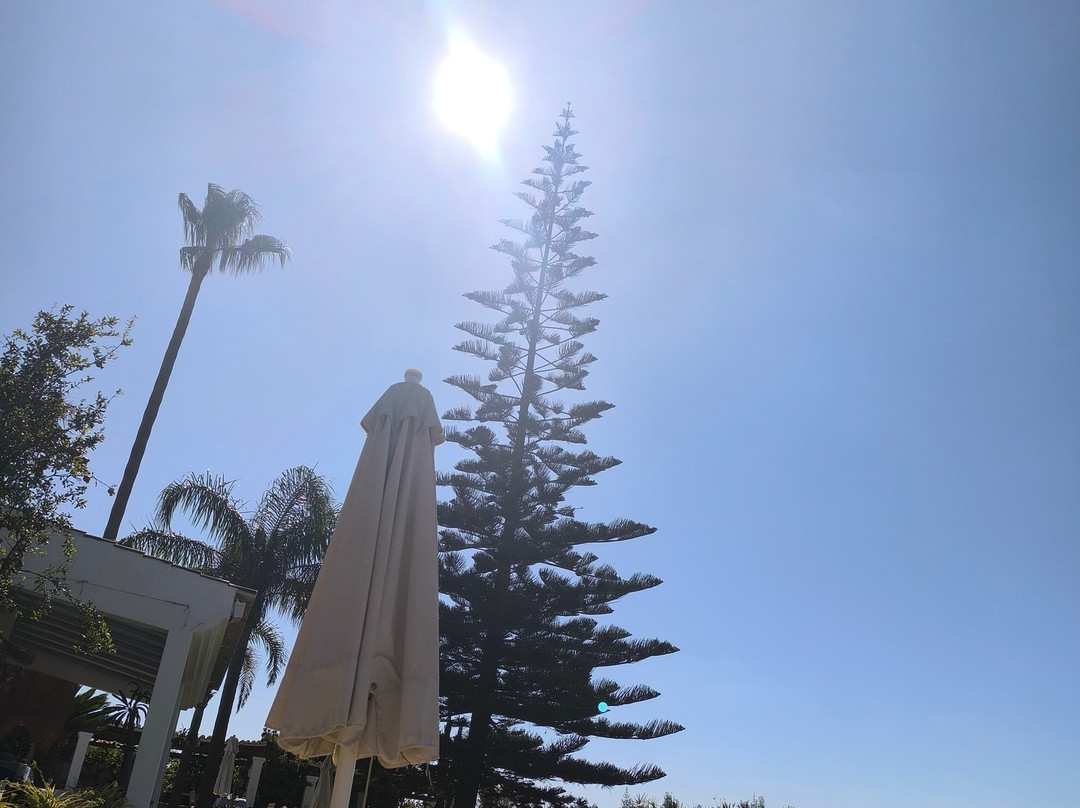 Monte das Cortelhas主图