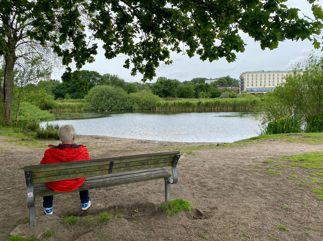 NH汉堡号角主图