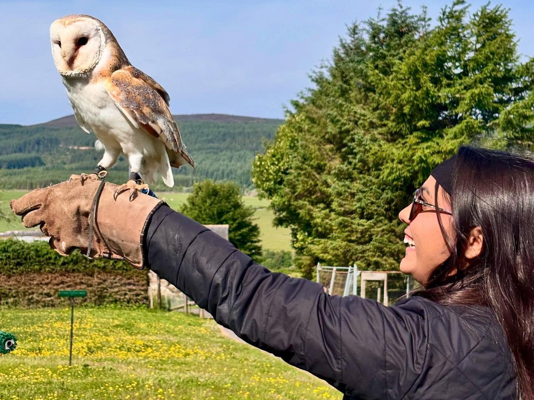 Speyside Falconry-Mulben必去景点