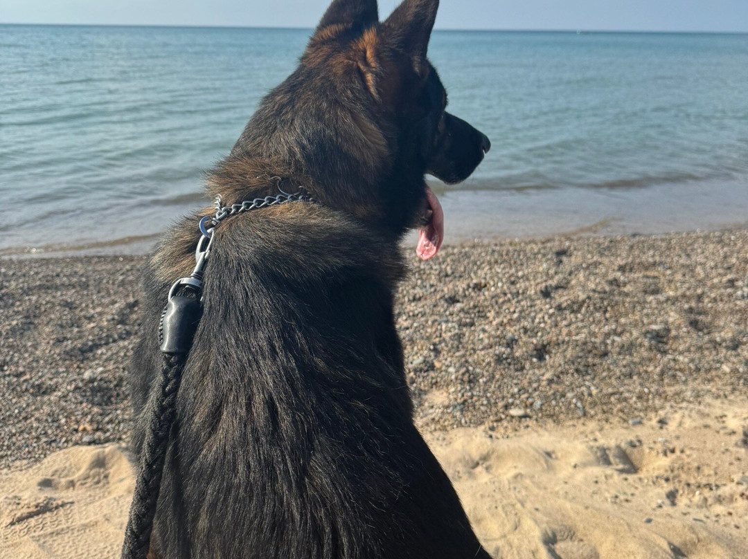 Indiana Dunes National Park-Porter必去景点