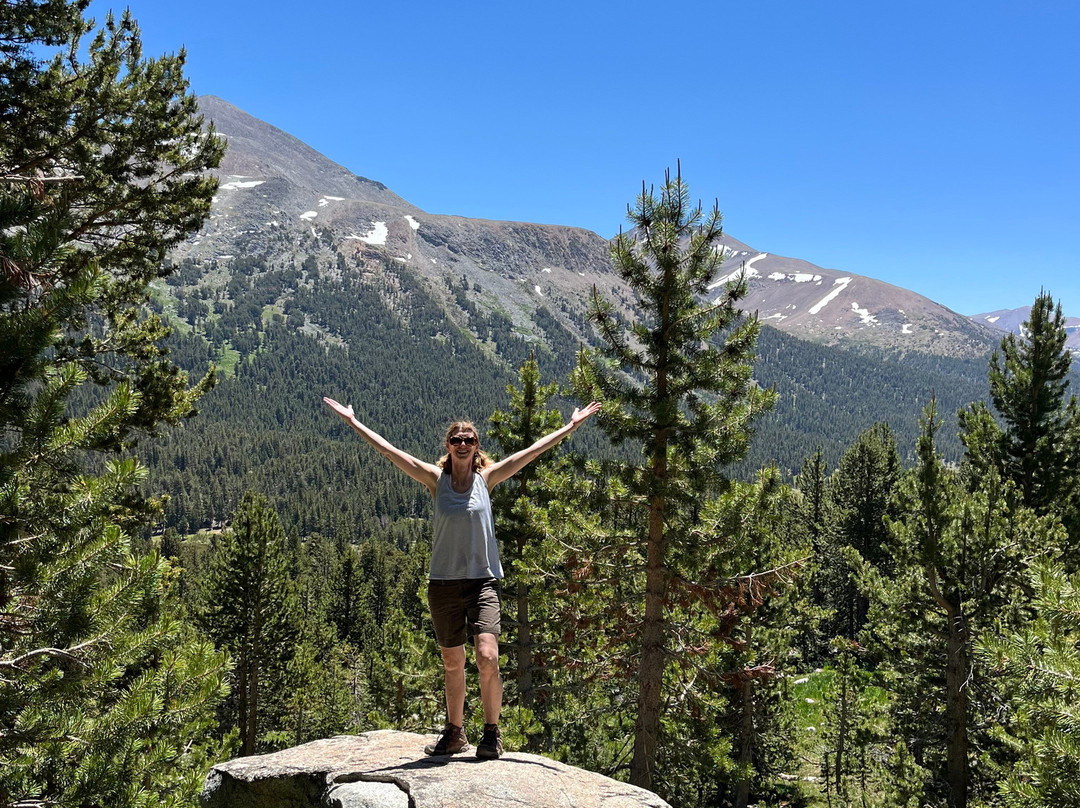 Yosemite Guide Service-格罗夫兰必去景点