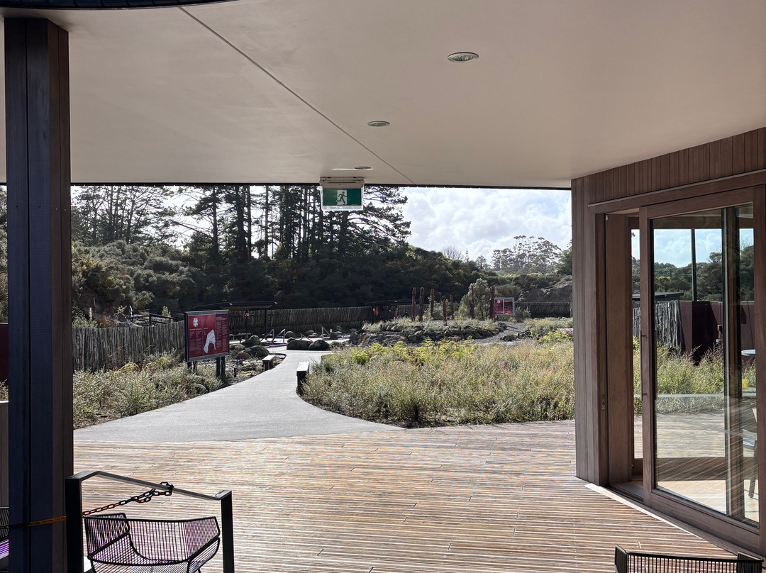 Ngawha Springs-凯科希必去景点