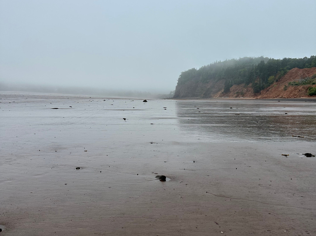 Fundy Treasure Tours-Joggins必去景点
