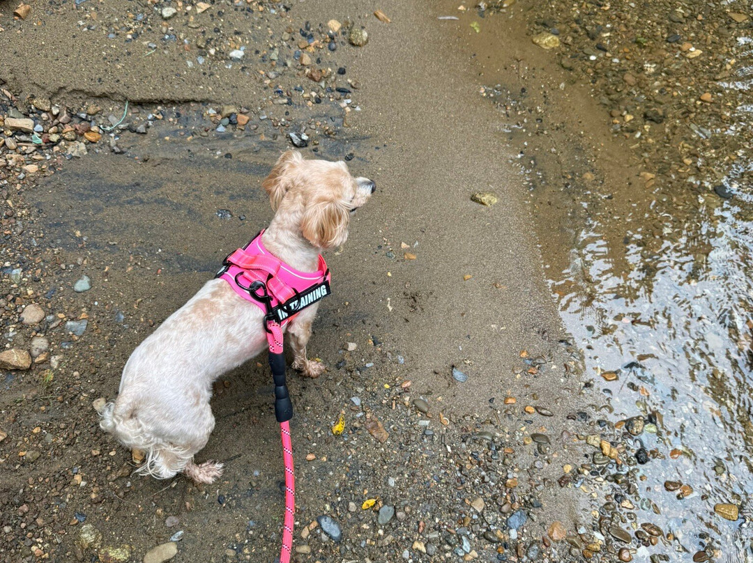Hawksbill Greenway-卢雷必去景点