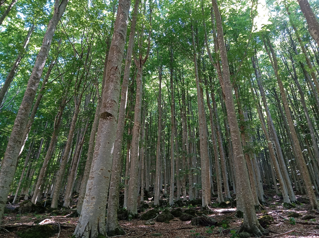 Monte Amiata-托斯卡纳必去景点