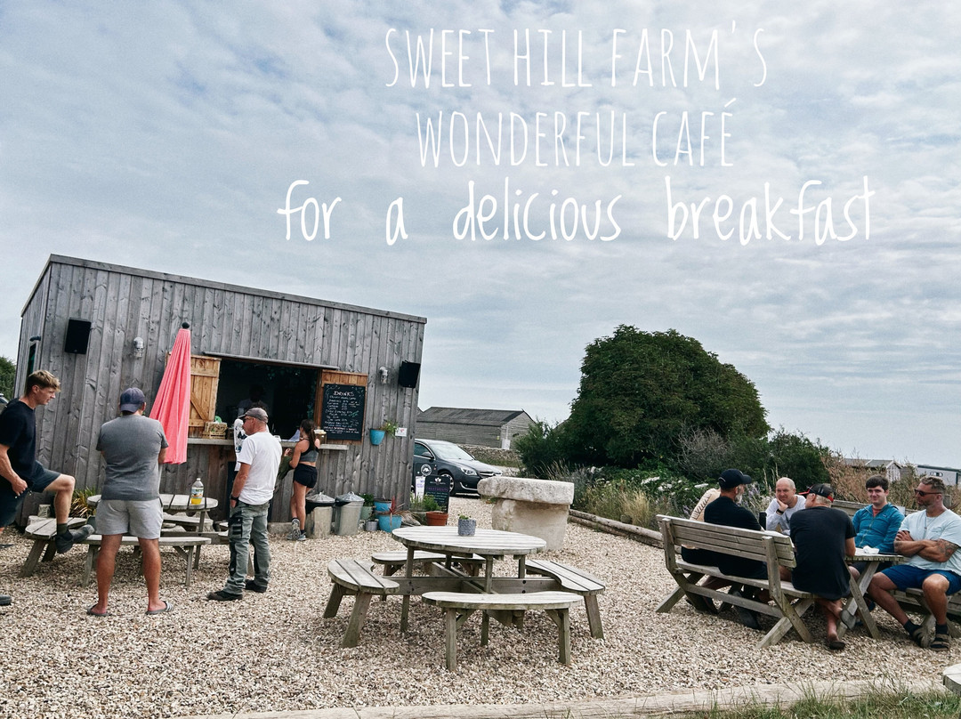 Sweet Hill Farm - Nearly Wild Camping