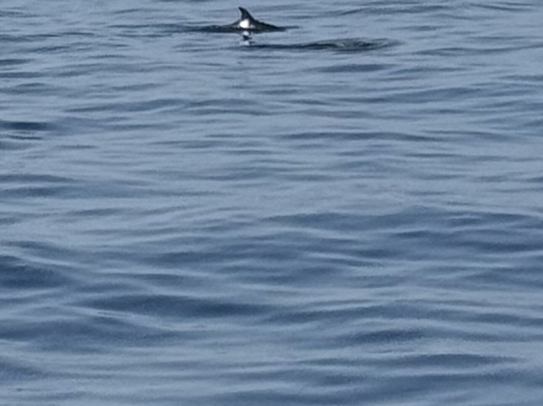 Ideal Boutique Hotel - Ideal House主图