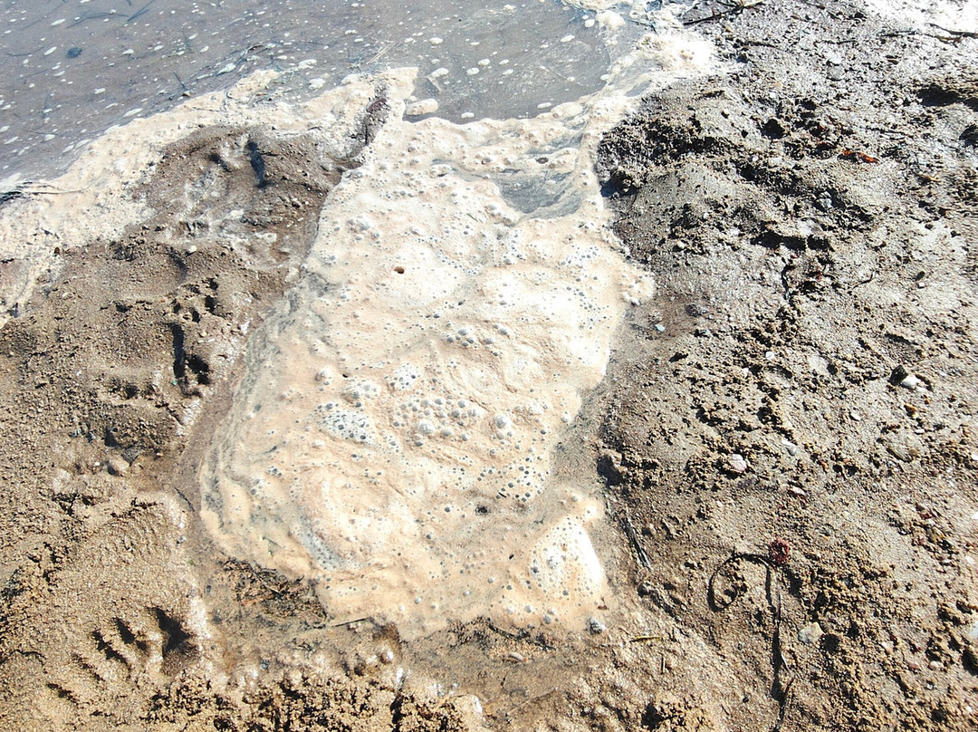 Kakovatos Beach-Kakovatos必去景点
