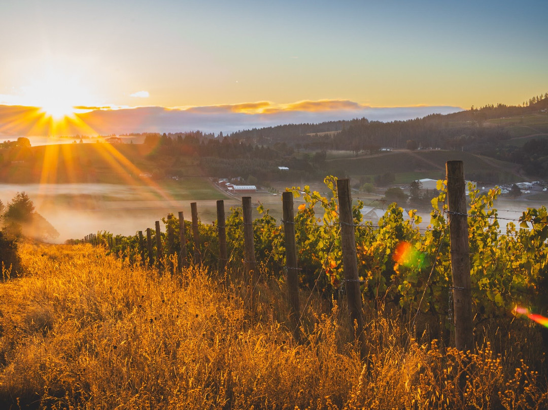 Laurel Ridge-Carlton必去景点