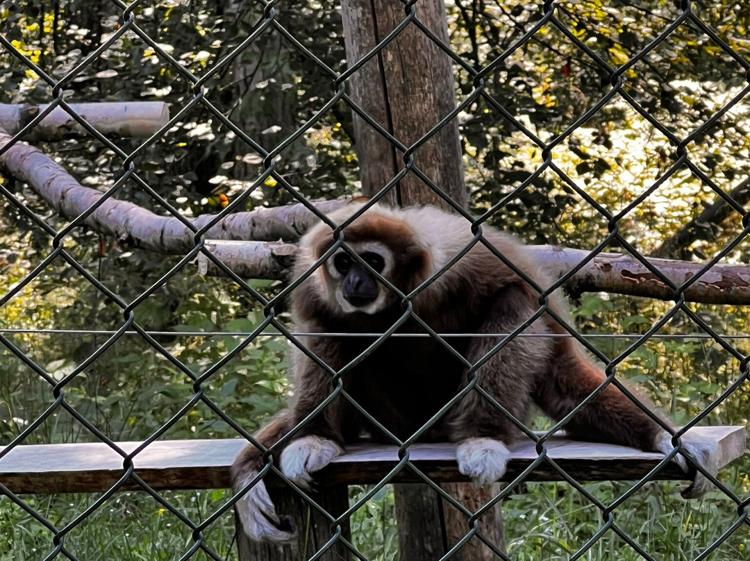 Tangen Zoo-Tangen必去景点