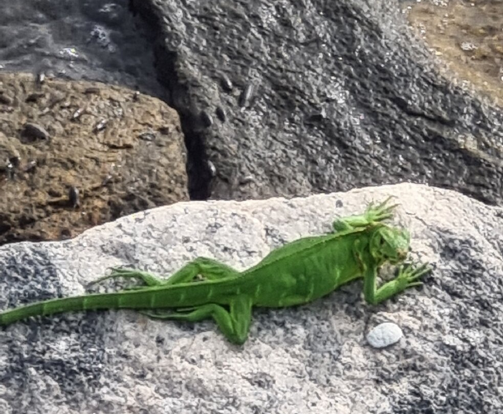 Praia do Bessa-Joao Pessoa必去景点