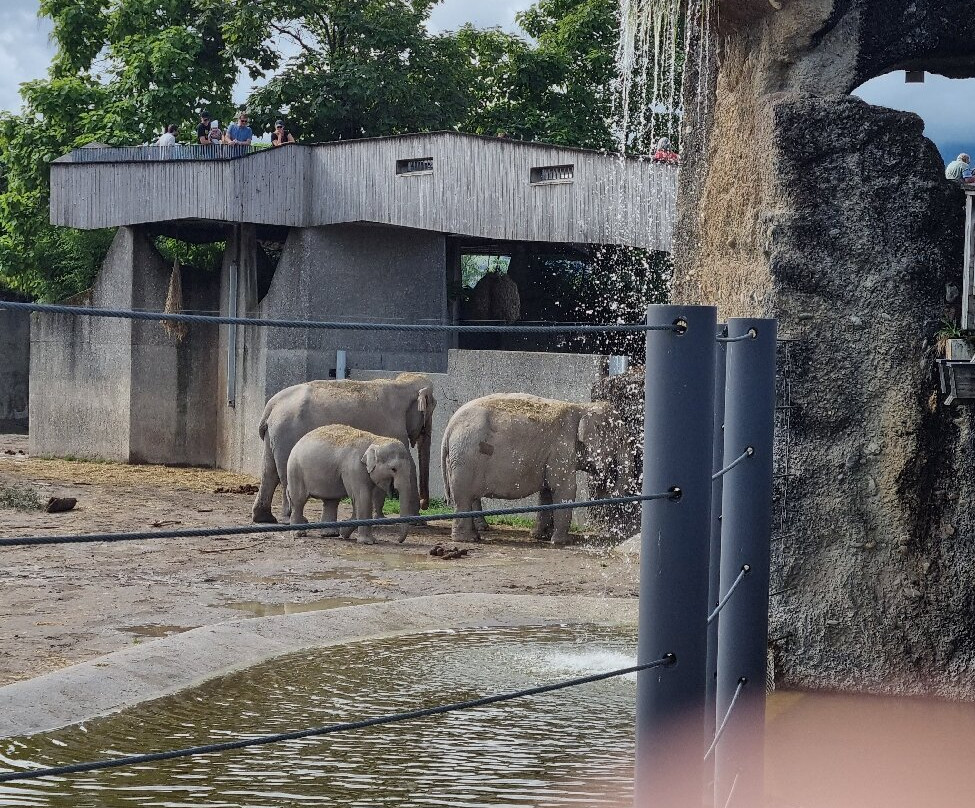 Knies Kinderzoo Rapperswil-拉珀斯维尔必去景点