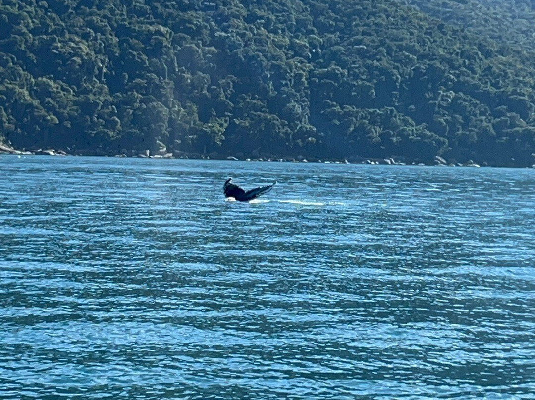 Maremar Turismo-伊利亚贝拉必去景点