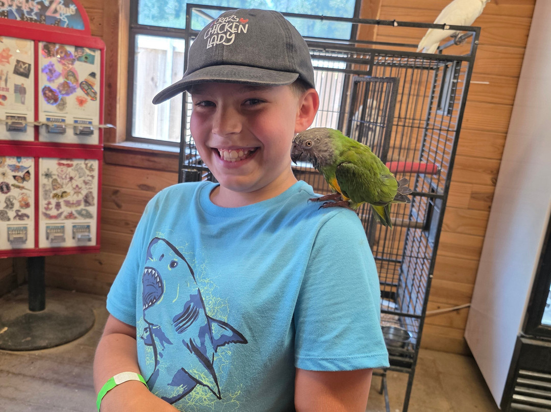 East Texas Gators and Wildlife Park-Grand Saline必去景点