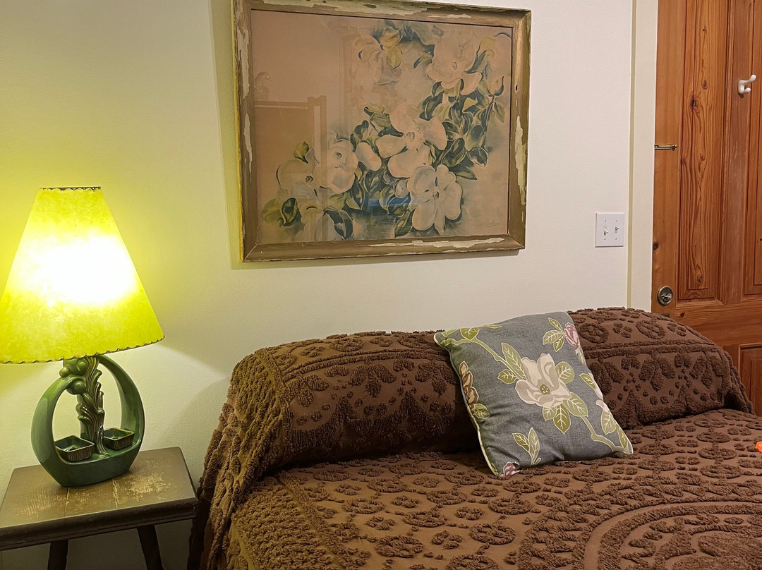 Hibiscus Guesthouse主图