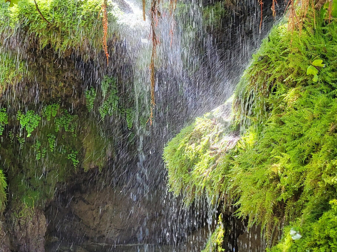 Pont des Tuves-Montauroux必去景点
