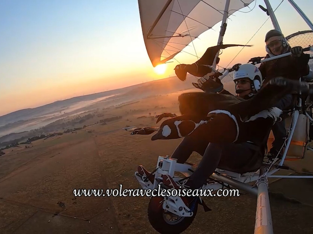 Voler Avec les Oiseaux-奥里亚克必去景点