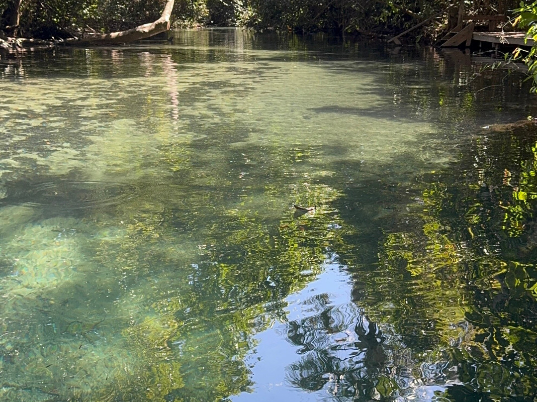 Refúgio das Águas Nobres-诺布里斯必去景点