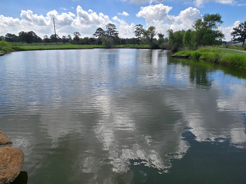 Bastrop State Park-巴斯特罗普必去景点