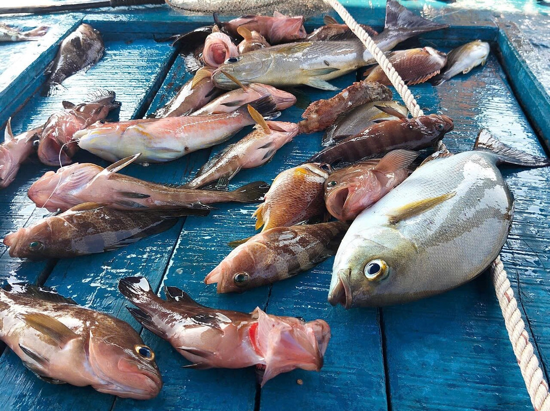 FishingFeel-岘港必去景点