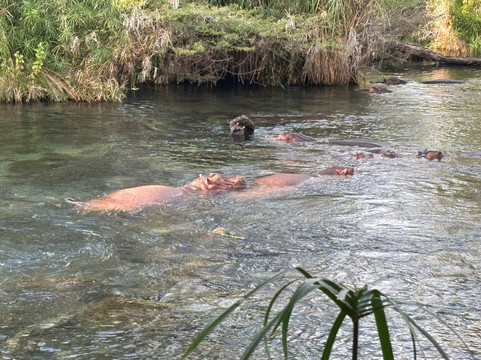 Netherken Safaris & Tours-蒙巴萨必去景点
