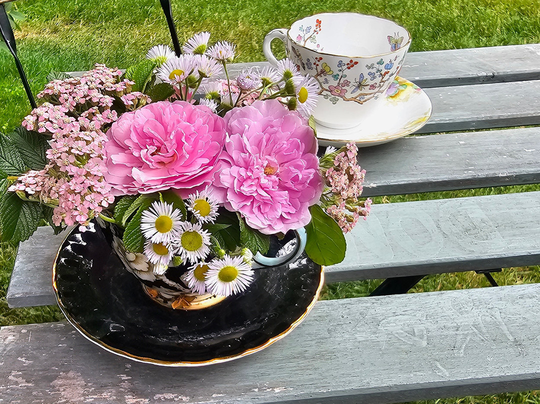 Tangled Garden-Grand Pre必去景点