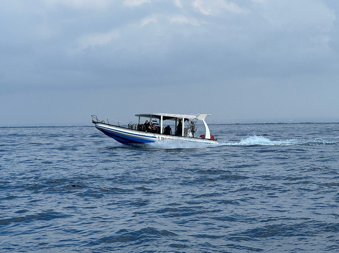 Tamarind Divers-蓝梦岛必去景点