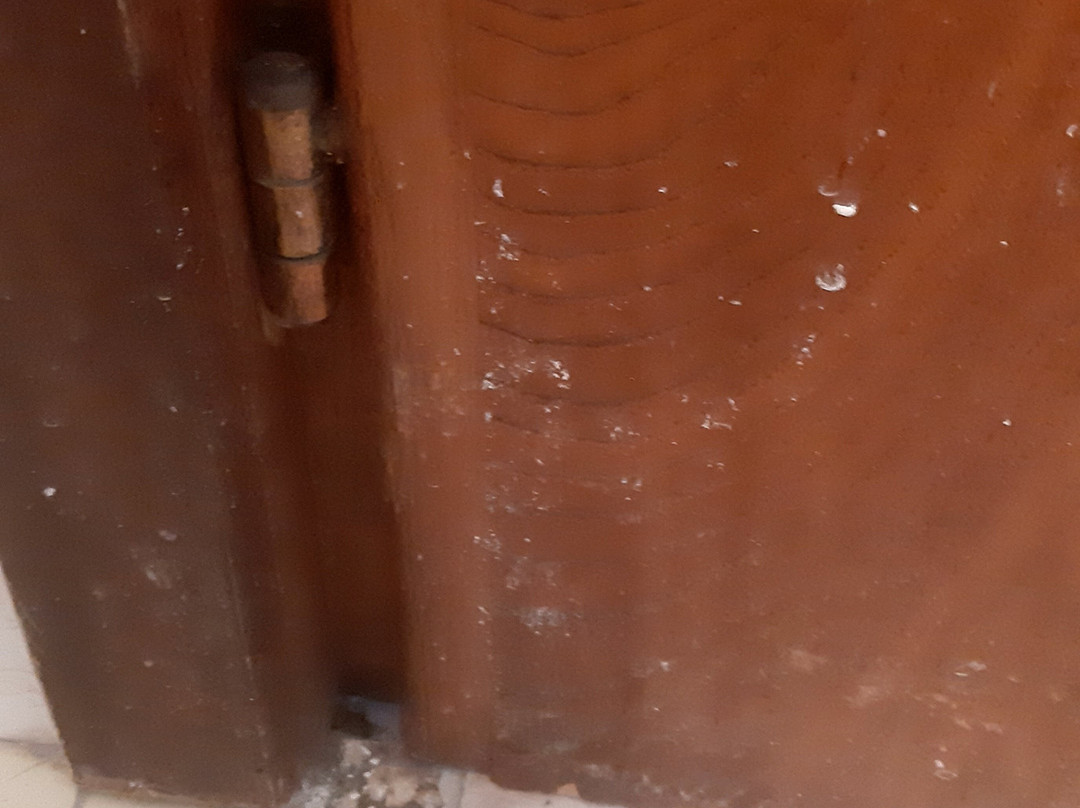 HG Hotel Italia主图