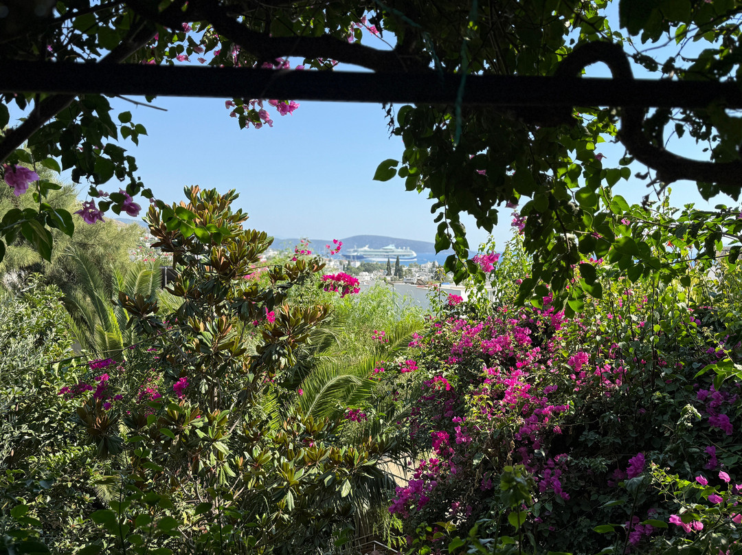 艾莉维诺套房酒店主图