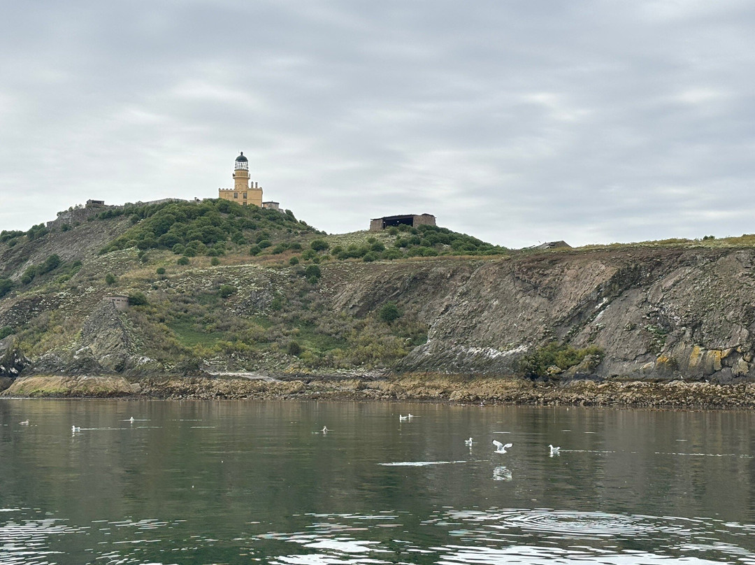 Forth Sea Safaris-Burntisland必去景点