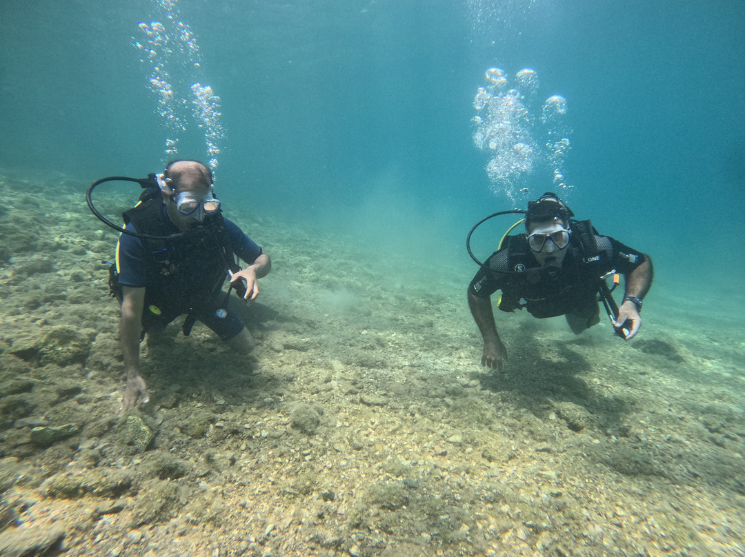 Nautilus Dive Center-Ilioupoli必去景点