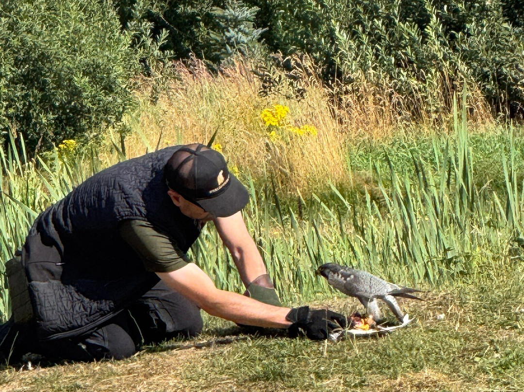 Eagle World-Bindslev必去景点