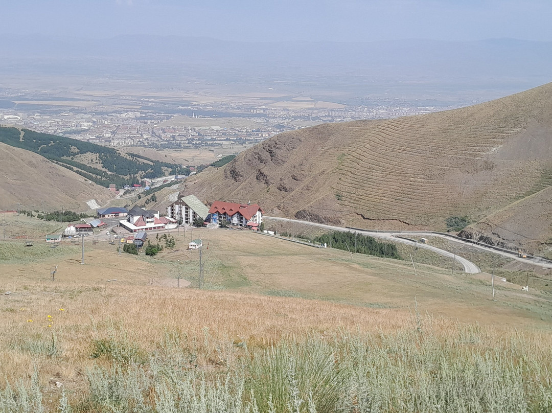 Polat Palandöken主图