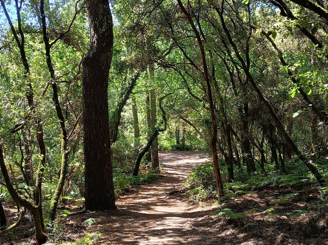 Réserve Naturelle De l'Etang De Cousseau-Lacanau-Ocean必去景点