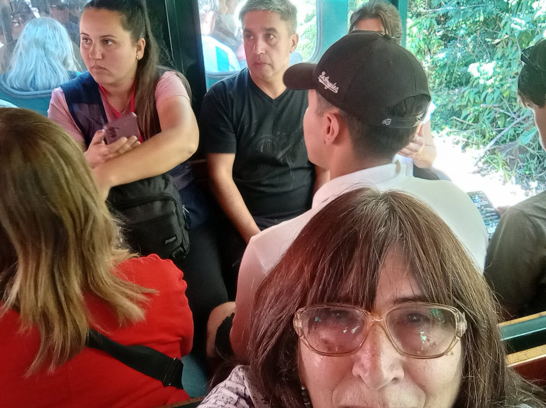 Tren Ecológico De La Selva-伊瓜苏港必去景点