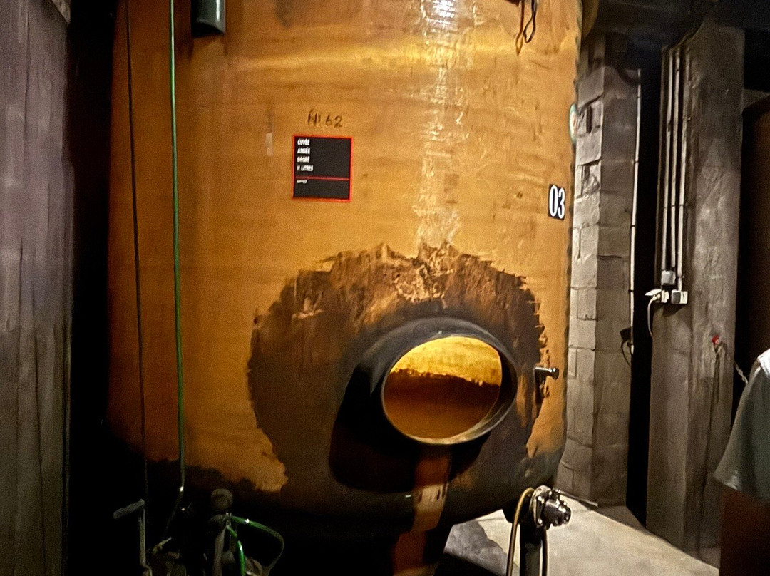 Maison Laudacius - Cave De Montlouis-Sur-Loire-卢瓦尔省蒙特路易必去景点