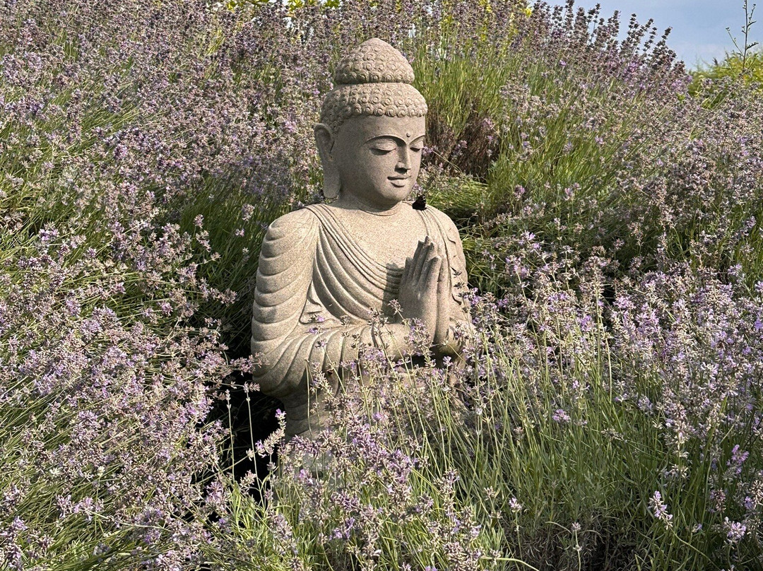 TAOASIS Botanischer Duftgarten-Lage必去景点