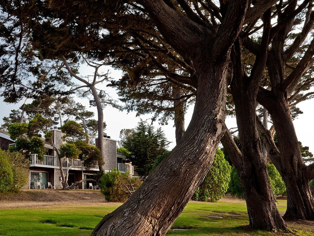 太平洋丛林镇酒店住宿-Lighthouse Lodge & Cottages