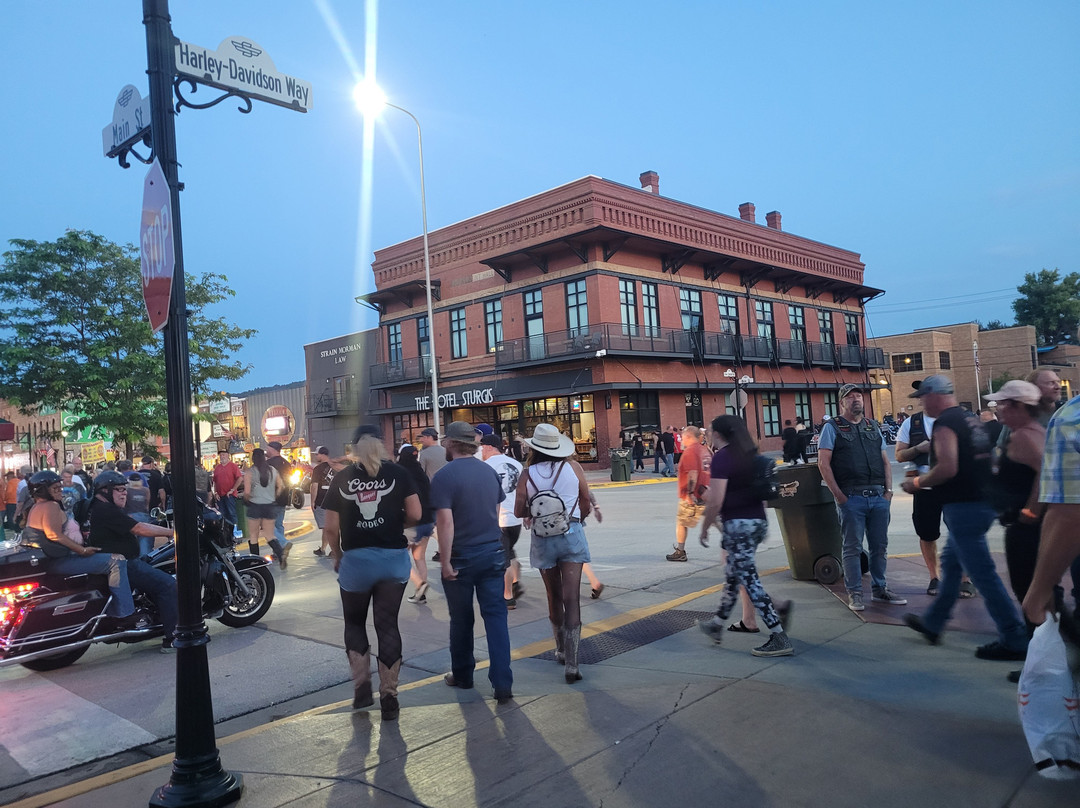 The Hotel Sturgis主图