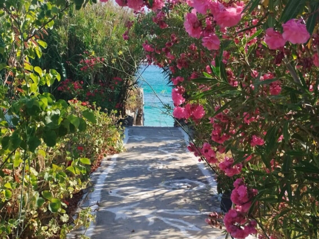 Artemis Pension主图