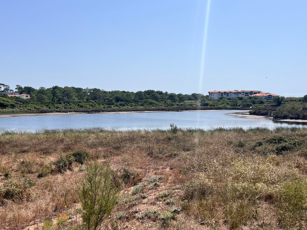 Parc Ecologique Izadia-Anglet必去景点