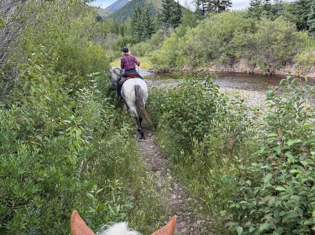 Snowy Springs Outfitters-Essex必去景点