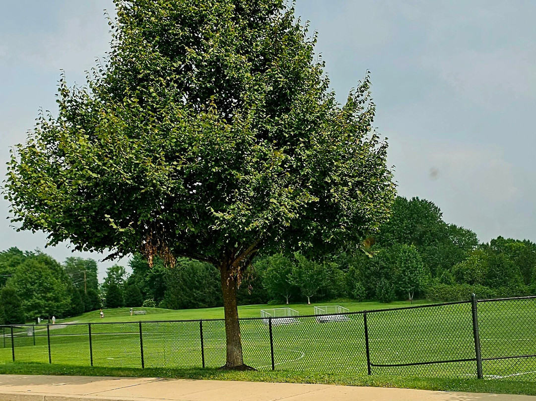 Sweet Air Park-Phoenix必去景点