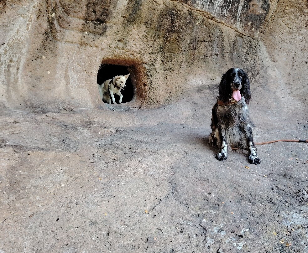 Hotel Locanda Minerva主图