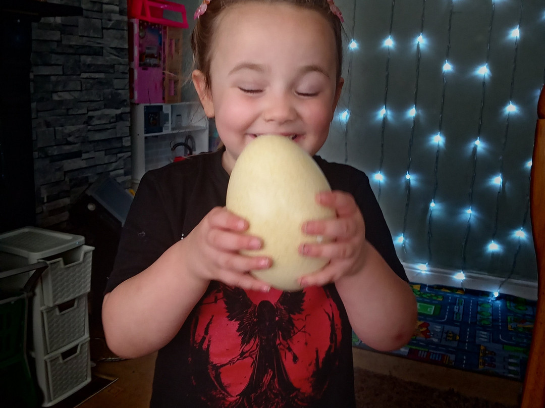 Little Owl Farm Park-Stourport on Severn必去景点