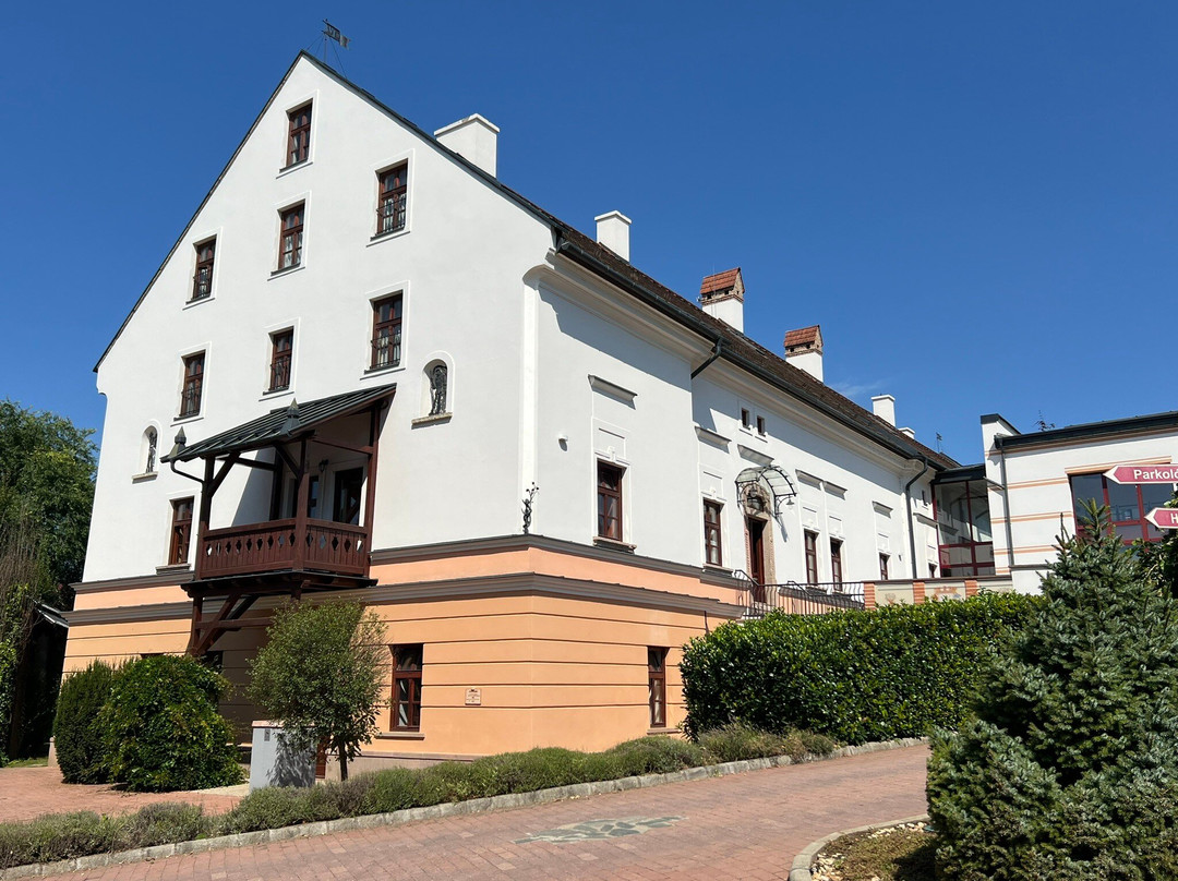 Hotel Vecsecity Superior