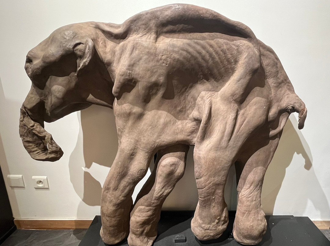 Musee National de Prehistoire-Les Eyzies-de-Tayac-Sireuil必去景点