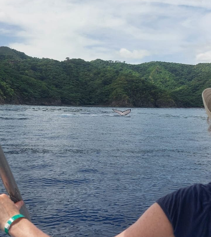 SCUBA Diving at Summer Salt Dive Center-Playas del Coco必去景点