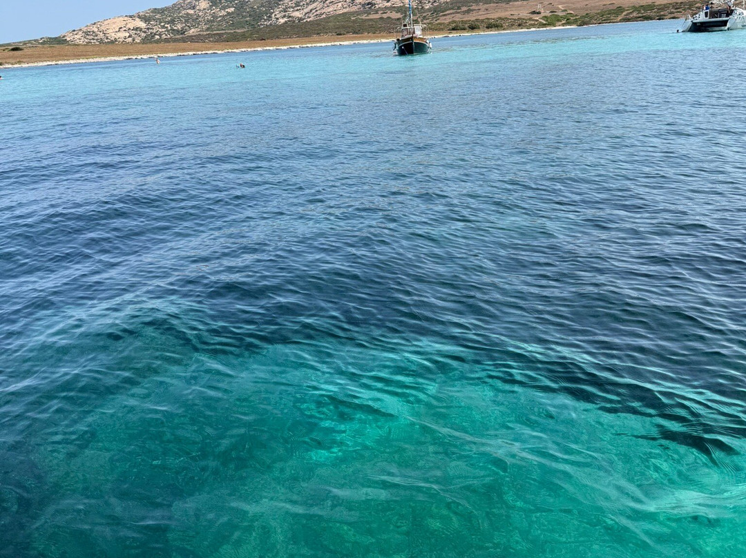 PosidoniaCharterAsinara-斯廷蒂诺必去景点