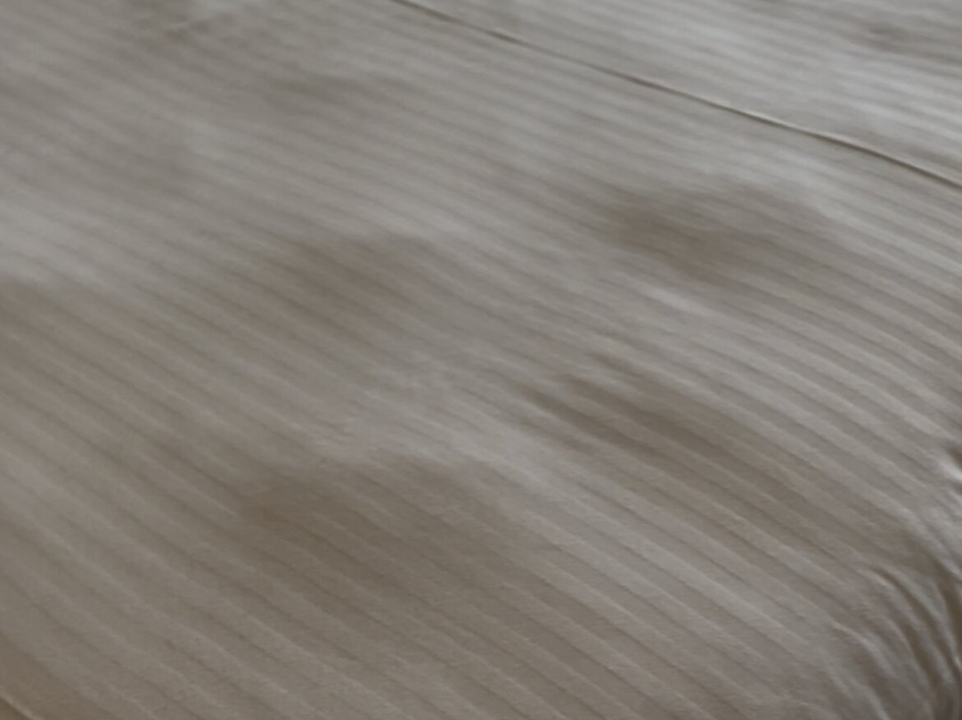 Silverland Inn主图